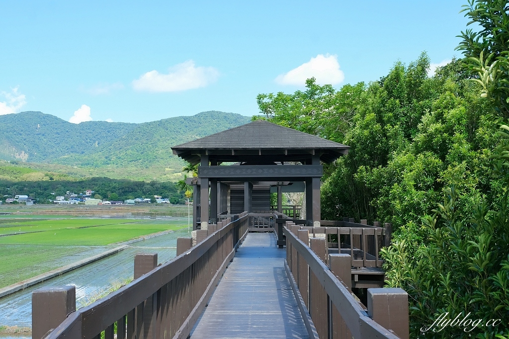 台東池上｜伯朗大道，台東最夯的打卡點天堂之路，男神金城武拍攝廣告的金城武樹 @飛天璇的口袋