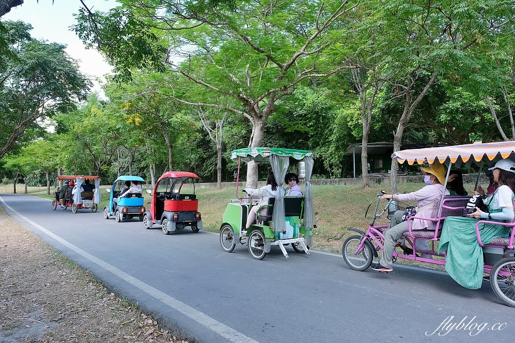 台東池上|池上大坡池,垂釣老翁不見了,悠閒的環湖木棧步道,欣賞夏日荷花盛開 @飛天璇的口袋 台東池上|池上大坡池,垂釣老翁不見了,悠閒的環湖木棧步道,欣賞夏日荷花盛開 @飛天璇的口袋