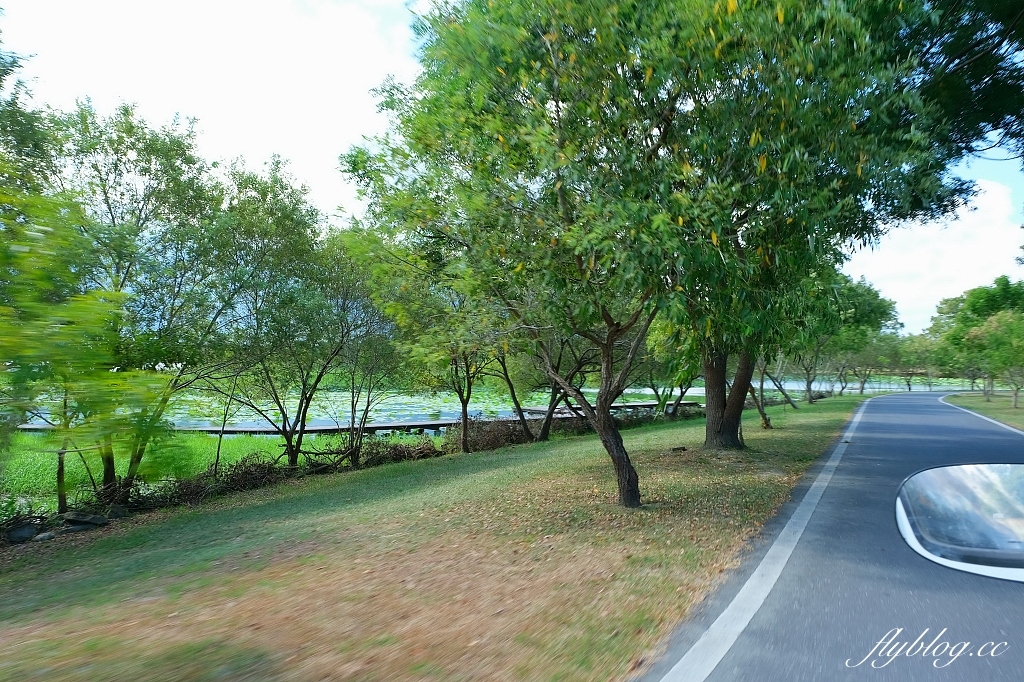 台東池上|池上大坡池,垂釣老翁不見了,悠閒的環湖木棧步道,欣賞夏日荷花盛開 @飛天璇的口袋 台東池上|池上大坡池,垂釣老翁不見了,悠閒的環湖木棧步道,欣賞夏日荷花盛開 @飛天璇的口袋