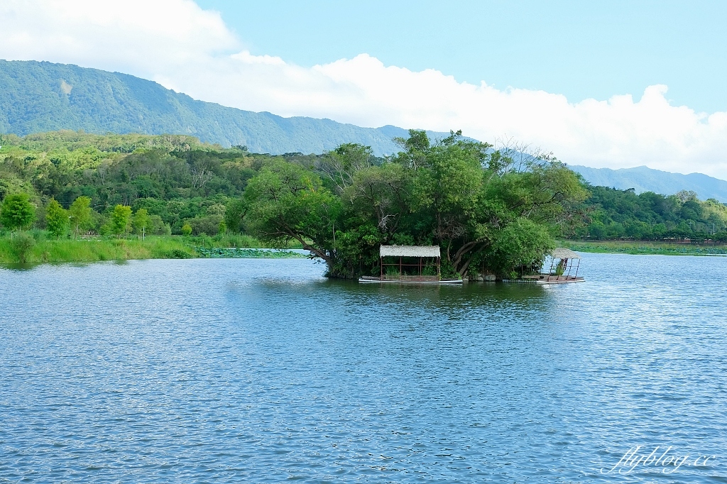台東池上|池上大坡池,垂釣老翁不見了,悠閒的環湖木棧步道,欣賞夏日荷花盛開 @飛天璇的口袋 台東池上|池上大坡池,垂釣老翁不見了,悠閒的環湖木棧步道,欣賞夏日荷花盛開 @飛天璇的口袋