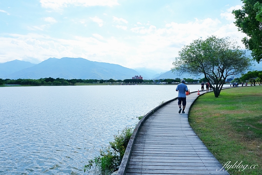 台東池上|池上大坡池,垂釣老翁不見了,悠閒的環湖木棧步道,欣賞夏日荷花盛開 @飛天璇的口袋 台東池上|池上大坡池,垂釣老翁不見了,悠閒的環湖木棧步道,欣賞夏日荷花盛開 @飛天璇的口袋