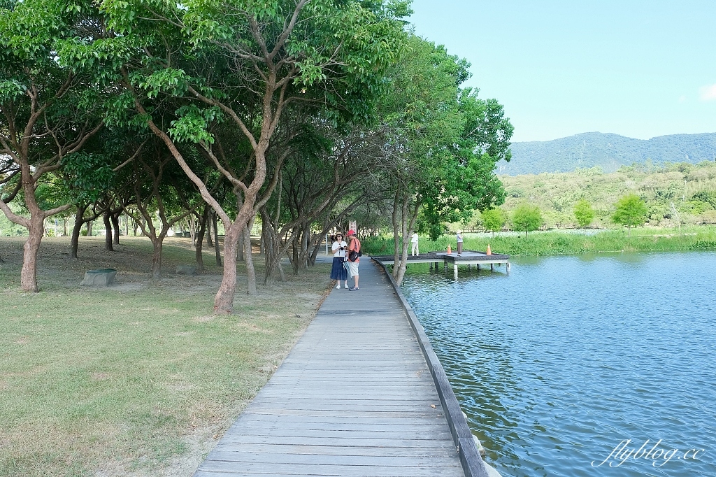 台東池上|池上大坡池,垂釣老翁不見了,悠閒的環湖木棧步道,欣賞夏日荷花盛開 @飛天璇的口袋 台東池上|池上大坡池,垂釣老翁不見了,悠閒的環湖木棧步道,欣賞夏日荷花盛開 @飛天璇的口袋