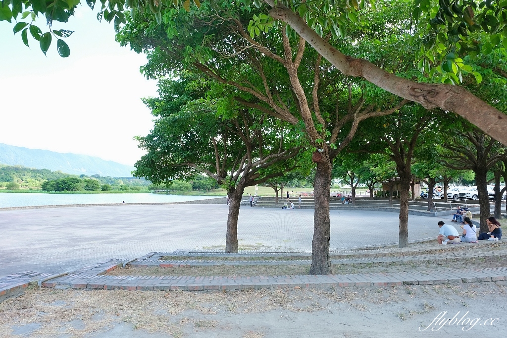 台東池上|池上大坡池,垂釣老翁不見了,悠閒的環湖木棧步道,欣賞夏日荷花盛開 @飛天璇的口袋 台東池上|池上大坡池,垂釣老翁不見了,悠閒的環湖木棧步道,欣賞夏日荷花盛開 @飛天璇的口袋