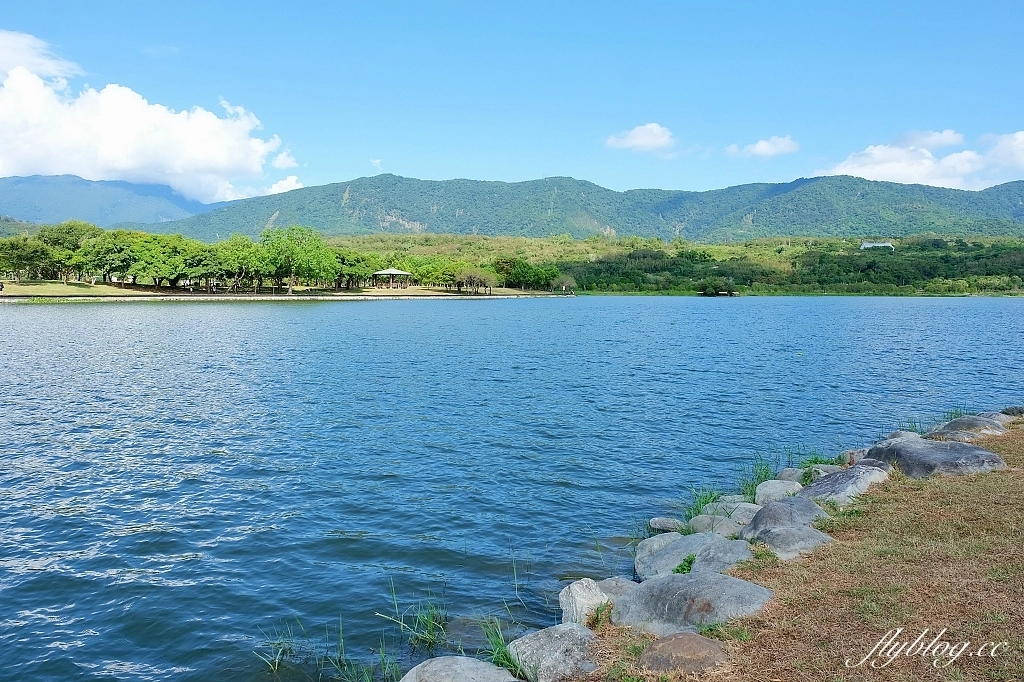 台東池上｜池上大坡池，垂釣老翁不見了，悠閒的環湖木棧步道，欣賞夏日荷花盛開 @飛天璇的口袋