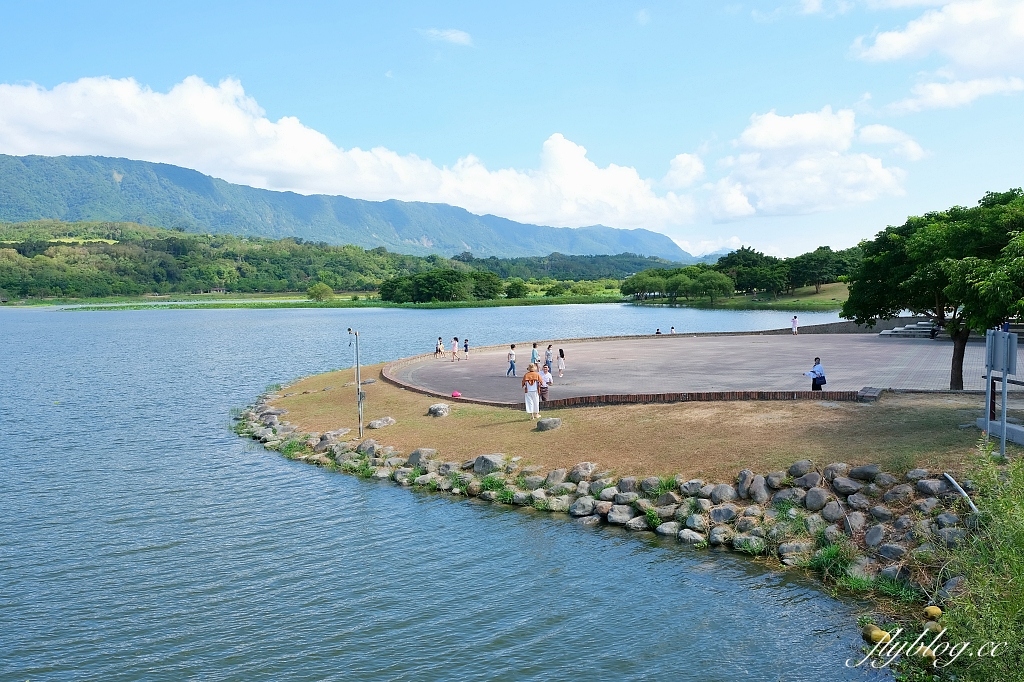 台東池上|池上大坡池,垂釣老翁不見了,悠閒的環湖木棧步道,欣賞夏日荷花盛開 @飛天璇的口袋 台東池上|池上大坡池,垂釣老翁不見了,悠閒的環湖木棧步道,欣賞夏日荷花盛開 @飛天璇的口袋
