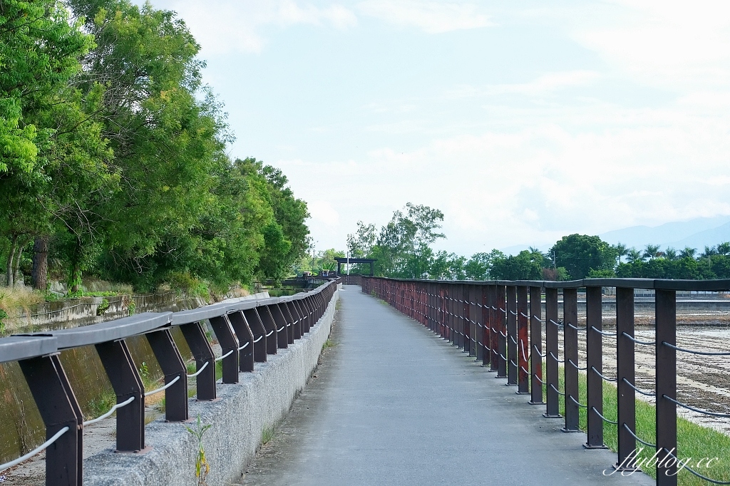 台東池上｜池上大坡池，垂釣老翁不見了，悠閒的環湖木棧步道，欣賞夏日荷花盛開 @飛天璇的口袋