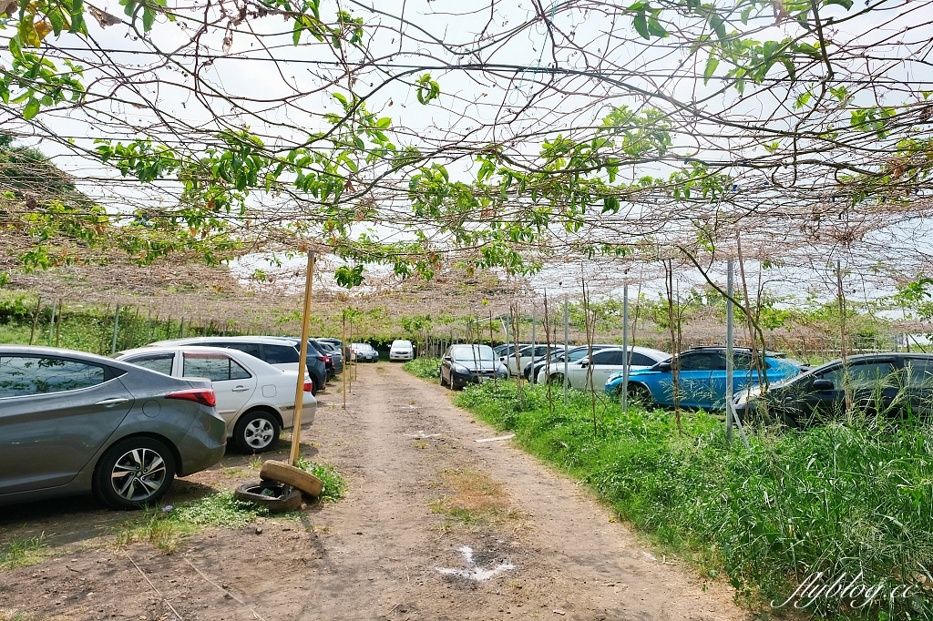 桃園大園|陽榮生態農場,門票100元抵消費,撿雞蛋、摸蜆仔、釣青蛙、餵動物 @飛天璇的口袋 桃園大園|陽榮生態農場,門票100元抵消費,撿雞蛋、摸蜆仔、釣青蛙、餵動物 @飛天璇的口袋