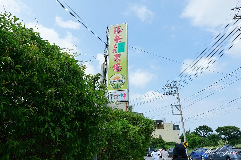 桃園大園｜陽榮生態農場，門票100元抵消費，撿雞蛋、摸蜆仔、釣青蛙、餵動物 @飛天璇的口袋