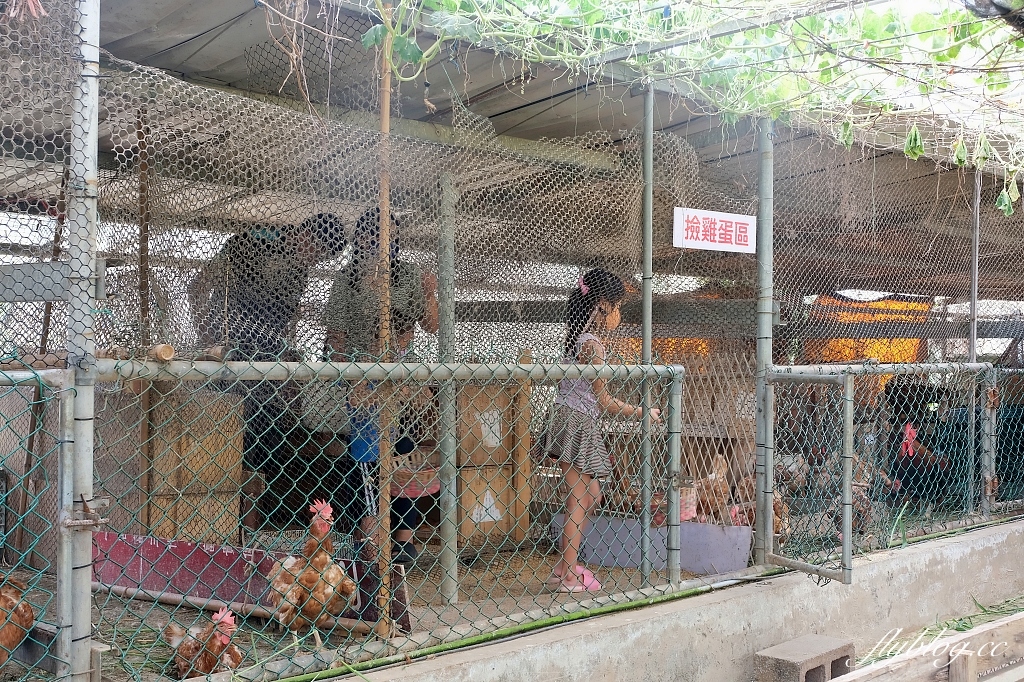 桃園大園|陽榮生態農場,門票100元抵消費,撿雞蛋、摸蜆仔、釣青蛙、餵動物 @飛天璇的口袋 桃園大園|陽榮生態農場,門票100元抵消費,撿雞蛋、摸蜆仔、釣青蛙、餵動物 @飛天璇的口袋