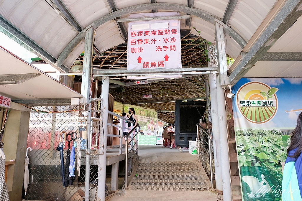桃園大園|陽榮生態農場,門票100元抵消費,撿雞蛋、摸蜆仔、釣青蛙、餵動物 @飛天璇的口袋 桃園大園|陽榮生態農場,門票100元抵消費,撿雞蛋、摸蜆仔、釣青蛙、餵動物 @飛天璇的口袋