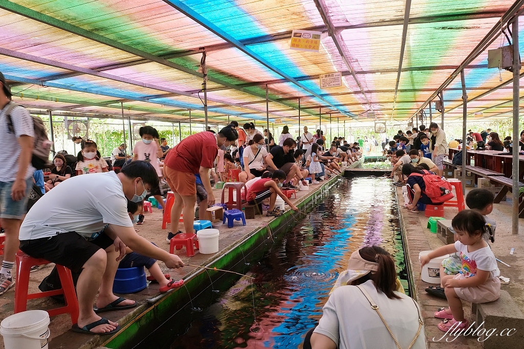 桃園大園｜陽榮生態農場，門票100元抵消費，撿雞蛋、摸蜆仔、釣青蛙、餵動物 @飛天璇的口袋