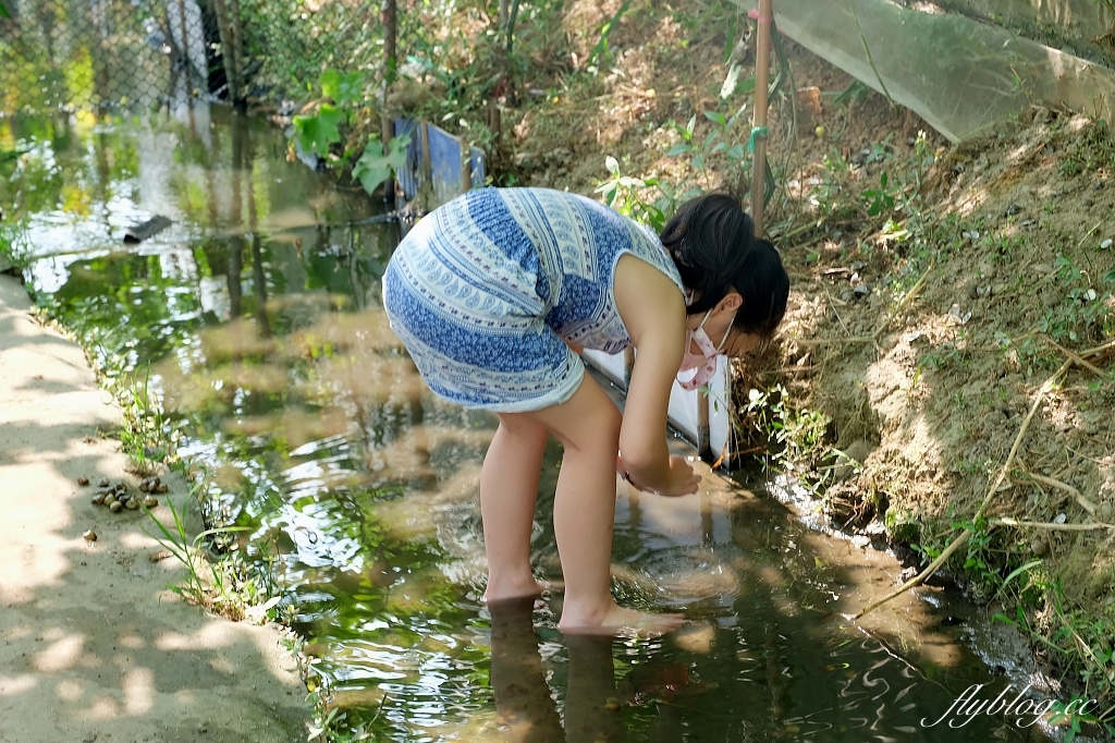 桃園大園|陽榮生態農場,門票100元抵消費,撿雞蛋、摸蜆仔、釣青蛙、餵動物 @飛天璇的口袋 桃園大園|陽榮生態農場,門票100元抵消費,撿雞蛋、摸蜆仔、釣青蛙、餵動物 @飛天璇的口袋