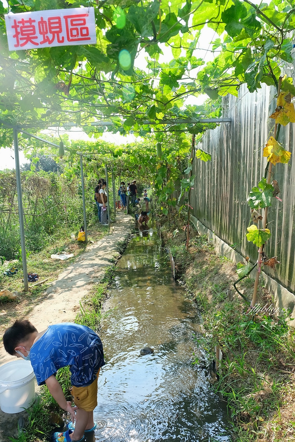 桃園大園｜陽榮生態農場，門票100元抵消費，撿雞蛋、摸蜆仔、釣青蛙、餵動物 @飛天璇的口袋