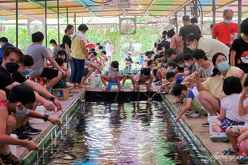 桃園大園|陽榮生態農場,門票100元抵消費,撿雞蛋、摸蜆仔、釣青蛙、餵動物 @飛天璇的口袋 桃園大園|陽榮生態農場,門票100元抵消費,撿雞蛋、摸蜆仔、釣青蛙、餵動物 @飛天璇的口袋