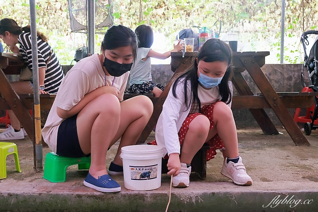 桃園大園|陽榮生態農場,門票100元抵消費,撿雞蛋、摸蜆仔、釣青蛙、餵動物 @飛天璇的口袋 桃園大園|陽榮生態農場,門票100元抵消費,撿雞蛋、摸蜆仔、釣青蛙、餵動物 @飛天璇的口袋