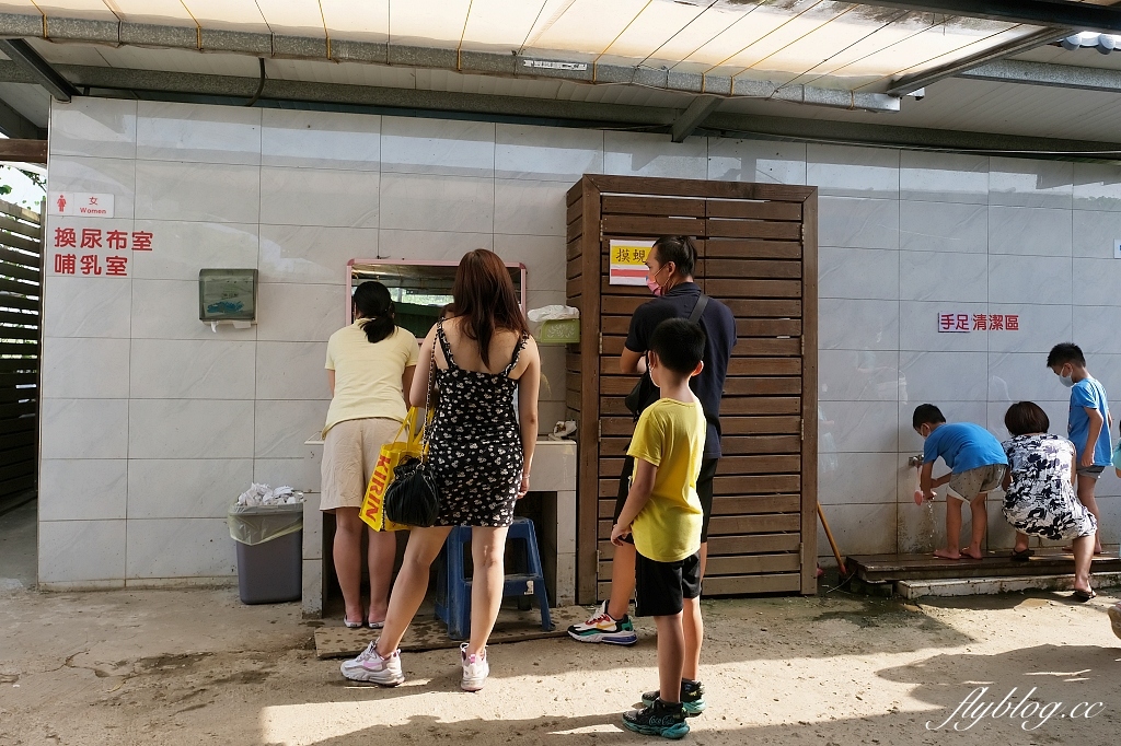 桃園大園|陽榮生態農場,門票100元抵消費,撿雞蛋、摸蜆仔、釣青蛙、餵動物 @飛天璇的口袋 桃園大園|陽榮生態農場,門票100元抵消費,撿雞蛋、摸蜆仔、釣青蛙、餵動物 @飛天璇的口袋