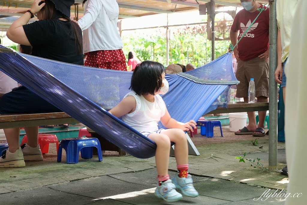 桃園大園|陽榮生態農場,門票100元抵消費,撿雞蛋、摸蜆仔、釣青蛙、餵動物 @飛天璇的口袋 桃園大園|陽榮生態農場,門票100元抵消費,撿雞蛋、摸蜆仔、釣青蛙、餵動物 @飛天璇的口袋