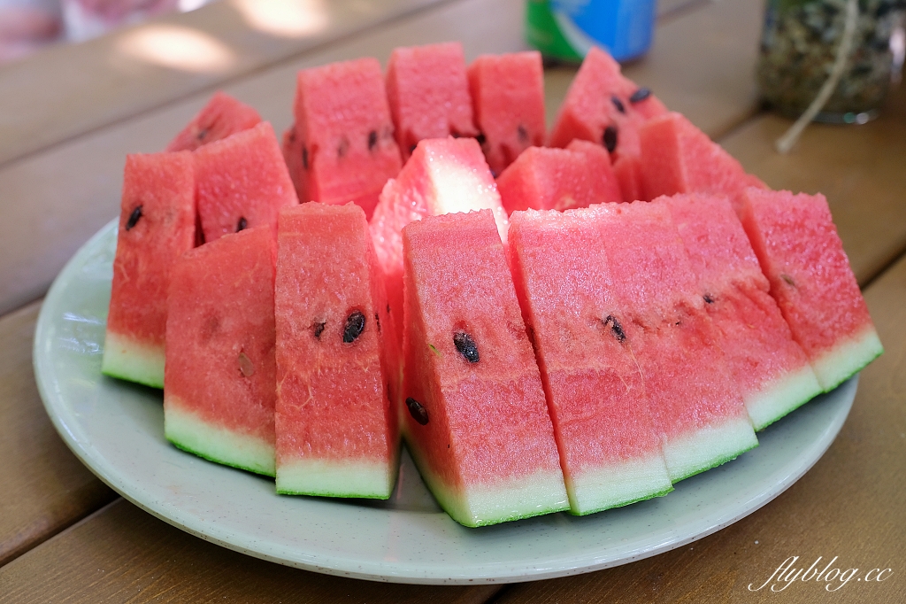 桃園大園|陽榮生態農場,門票100元抵消費,撿雞蛋、摸蜆仔、釣青蛙、餵動物 @飛天璇的口袋 桃園大園|陽榮生態農場,門票100元抵消費,撿雞蛋、摸蜆仔、釣青蛙、餵動物 @飛天璇的口袋