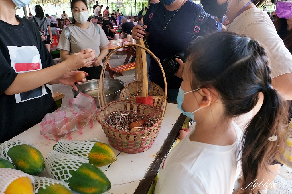 桃園大園｜陽榮生態農場，門票100元抵消費，撿雞蛋、摸蜆仔、釣青蛙、餵動物 @飛天璇的口袋