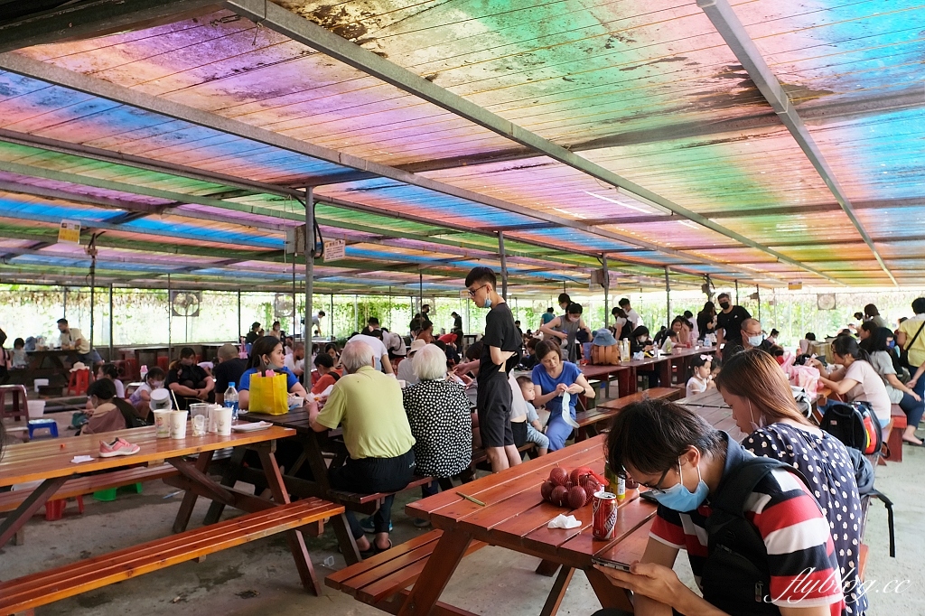 桃園大園｜陽榮生態農場，門票100元抵消費，撿雞蛋、摸蜆仔、釣青蛙、餵動物 @飛天璇的口袋