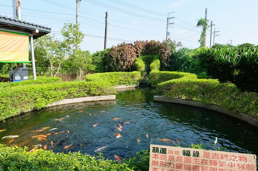 桃園大園|陽榮生態農場,門票100元抵消費,撿雞蛋、摸蜆仔、釣青蛙、餵動物 @飛天璇的口袋 桃園大園|陽榮生態農場,門票100元抵消費,撿雞蛋、摸蜆仔、釣青蛙、餵動物 @飛天璇的口袋