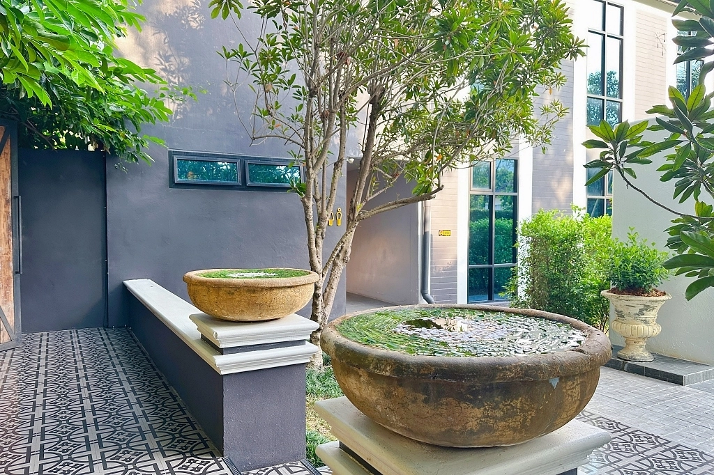 泰國清邁｜Cafe de Oasis & Toby’s Pizza，清邁森林系咖啡館，泰式料理和披薩也好吃 @飛天璇的口袋