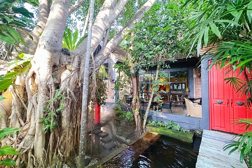 泰國清邁｜Cafe de Oasis & Toby’s Pizza，清邁森林系咖啡館，泰式料理和披薩也好吃 @飛天璇的口袋