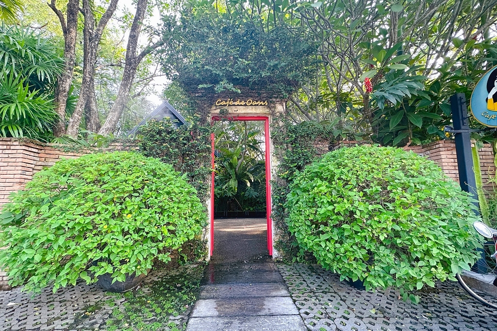 泰國清邁｜Cafe de Oasis & Toby’s Pizza，清邁森林系咖啡館，泰式料理和披薩也好吃 @飛天璇的口袋