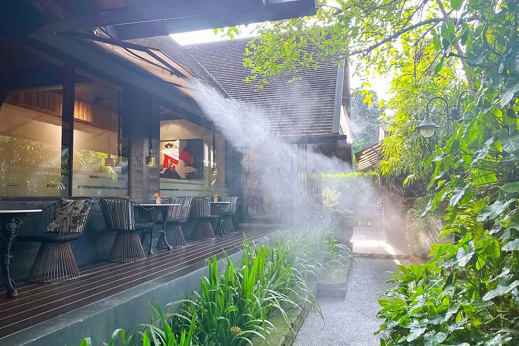 泰國清邁｜Cafe de Oasis & Toby’s Pizza，清邁森林系咖啡館，泰式料理和披薩也好吃 @飛天璇的口袋