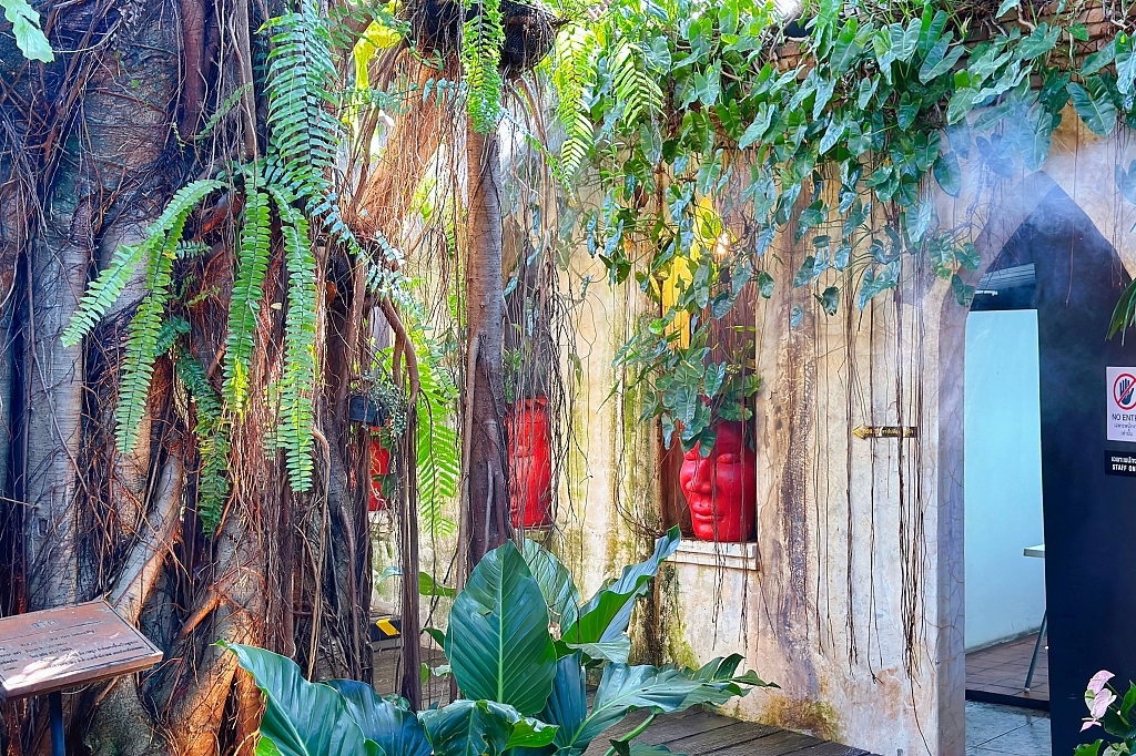 泰國清邁｜Cafe de Oasis & Toby’s Pizza，清邁森林系咖啡館，泰式料理和披薩也好吃 @飛天璇的口袋