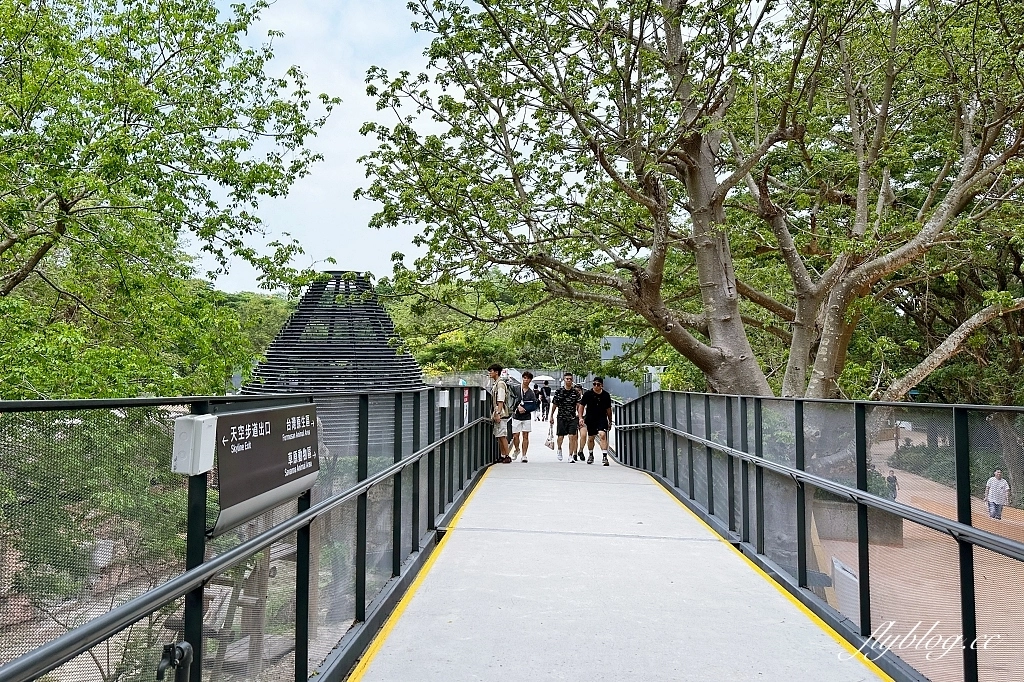 高雄鼓山｜壽山動物園，歷經2年整修重新開幕，暑假期間12歲小朋友免門票 @飛天璇的口袋