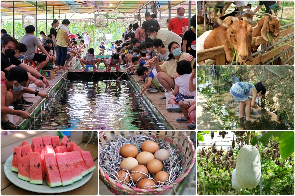 桃園大園｜陽榮生態農場，門票100元抵消費，撿雞蛋、摸蜆仔、釣青蛙、餵動物 @飛天璇的口袋