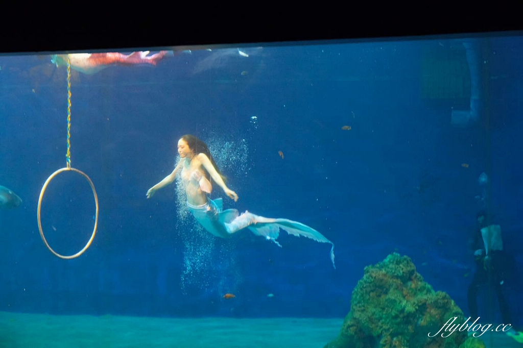 花蓮旅遊｜搭火車更輕鬆，親子租車自駕玩花蓮，花蓮4天3夜行程規劃懶人包 @飛天璇的口袋