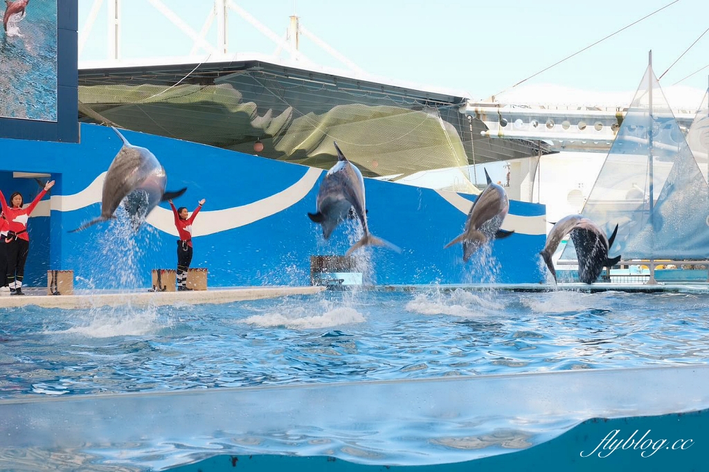 花蓮旅遊｜搭火車更輕鬆，親子租車自駕玩花蓮，花蓮4天3夜行程規劃懶人包 @飛天璇的口袋
