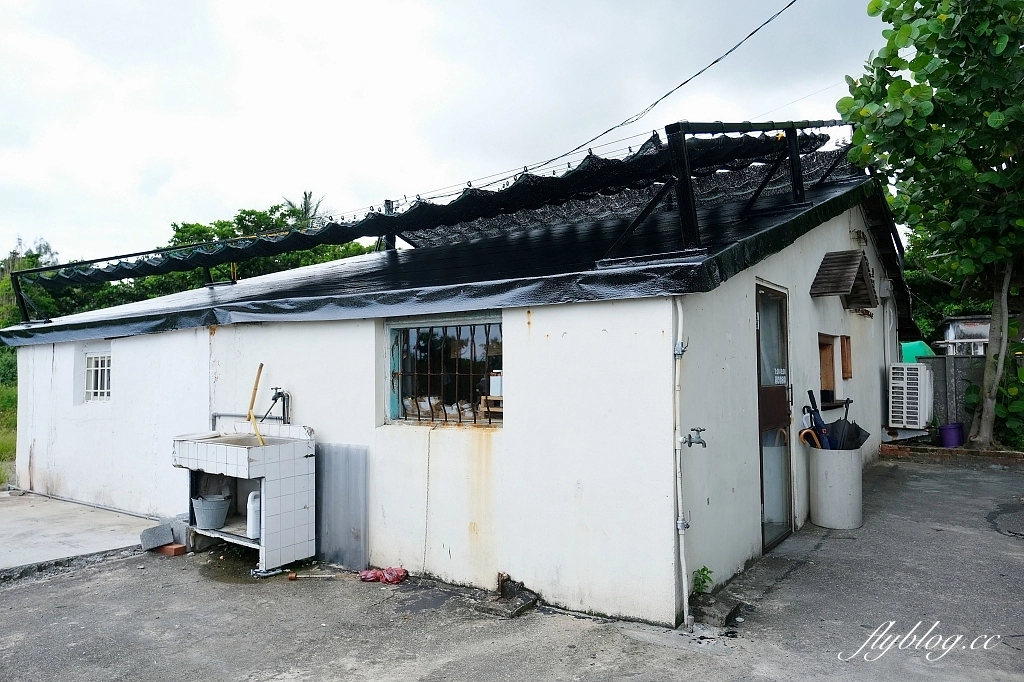 花蓮新城｜花蓮魚刺人雞蛋糕．七星潭漁村內白色老宅，雞蛋糕也可以很文青風 @飛天璇的口袋
