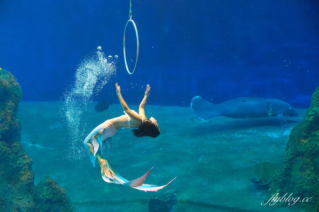 花蓮住宿｜悅樂旅店 花蓮．現代化Loft風格設計，遠雄集團年輕旅店新品牌 @飛天璇的口袋