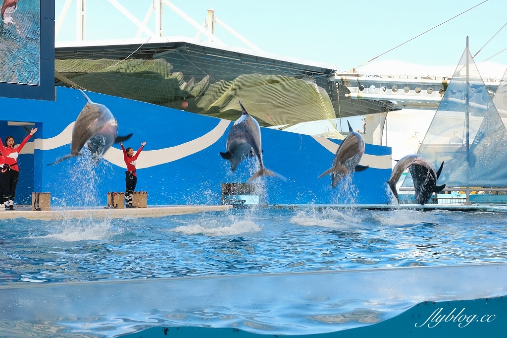 花蓮住宿｜悅樂旅店 花蓮．現代化Loft風格設計，遠雄集團年輕旅店新品牌 @飛天璇的口袋