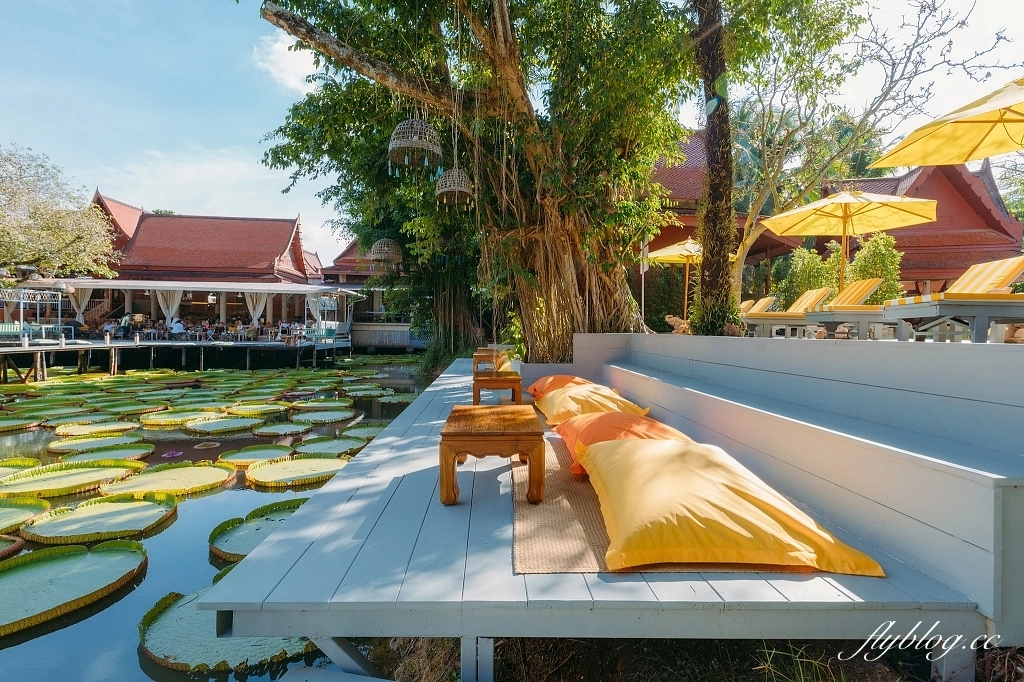 泰國普吉島｜Ma Doo Bua Cafe．普吉島最夯的網美餐廳，躺在大王荷花池上拍照打卡 @飛天璇的口袋