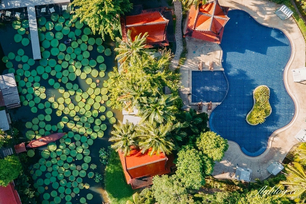 泰國普吉島｜Ma Doo Bua Cafe．普吉島最夯的網美餐廳，躺在大王荷花池上拍照打卡 @飛天璇的口袋