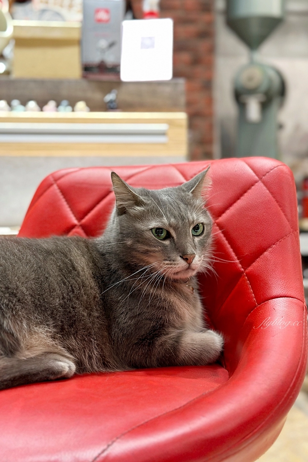 台中南區｜黝脈咖啡．營業到2點的深夜咖啡館，紅磚窯裡喝咖啡的氛圍 @飛天璇的口袋