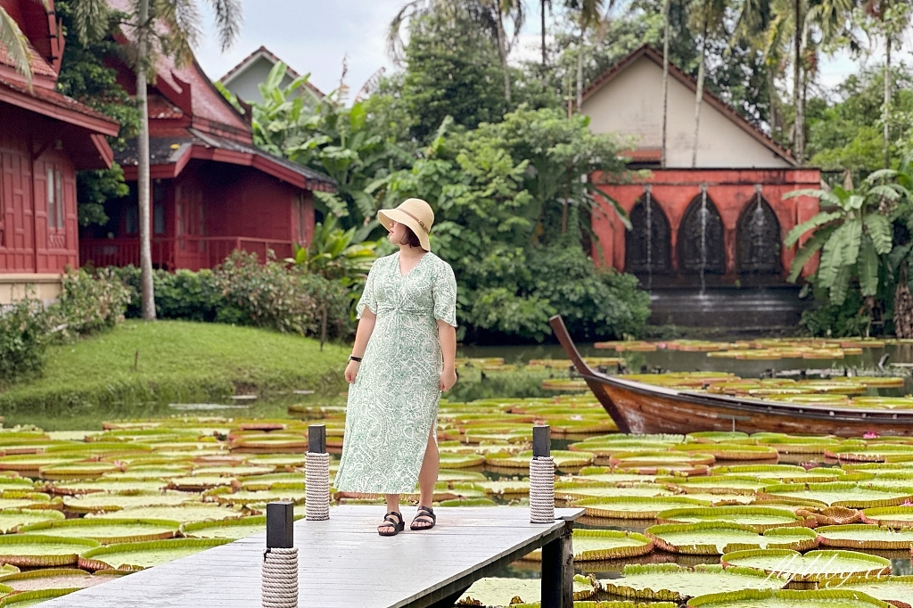 泰國普吉島｜Ma Doo Bua Cafe．普吉島最夯的網美餐廳，躺在大王荷花池上拍照打卡 @飛天璇的口袋