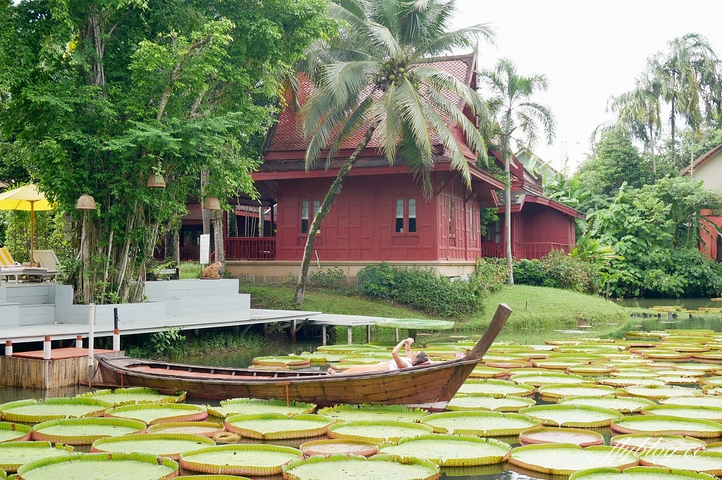 泰國普吉島｜Ma Doo Bua Cafe．普吉島最夯的網美餐廳，躺在大王荷花池上拍照打卡 @飛天璇的口袋