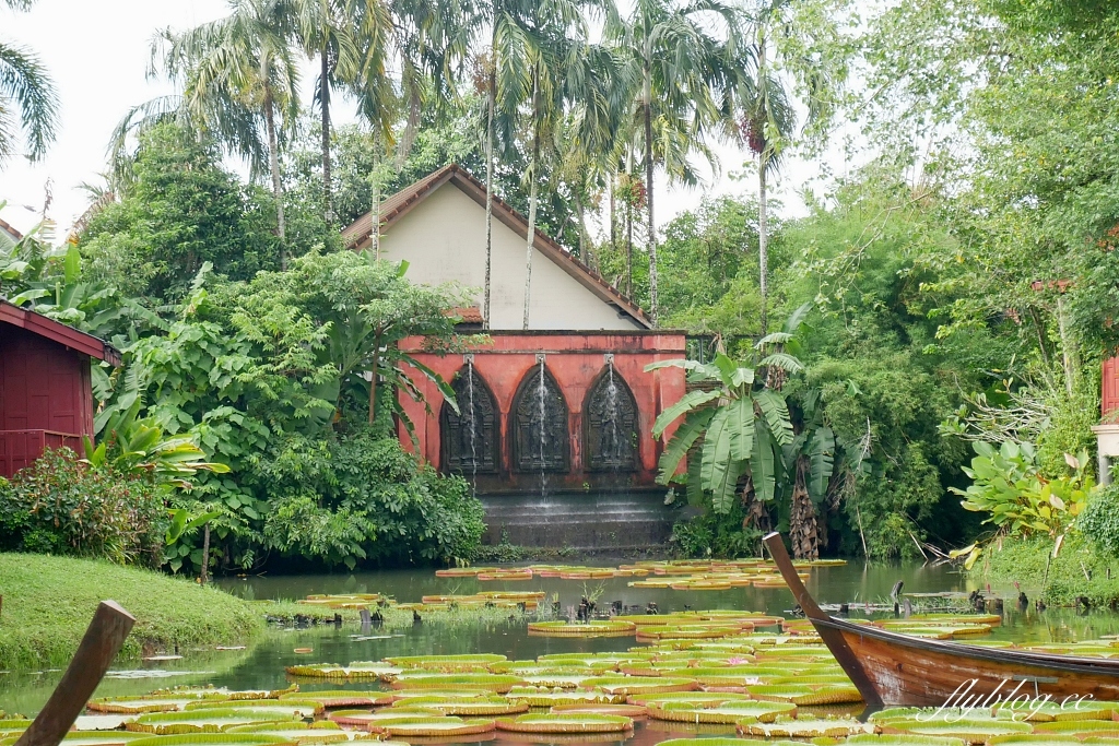 泰國普吉島｜Ma Doo Bua Cafe．普吉島最夯的網美餐廳，躺在大王荷花池上拍照打卡 @飛天璇的口袋