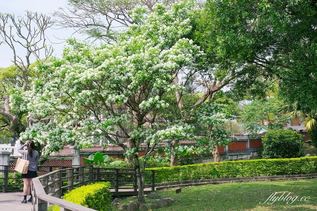 新北淡水｜小白宮．淡水百年歷史三級古蹟，前大清淡水總稅務司官邸 @飛天璇的口袋