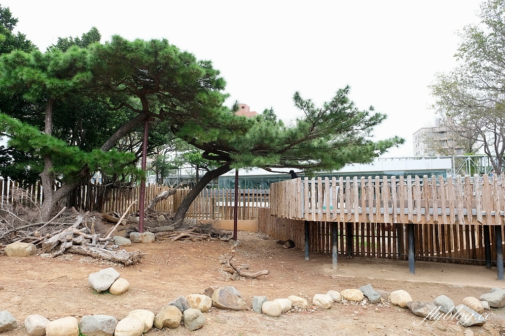 新竹東區｜新竹市立動物園．火車站步行15分鐘抵達，台灣現址最老的動物園 @飛天璇的口袋