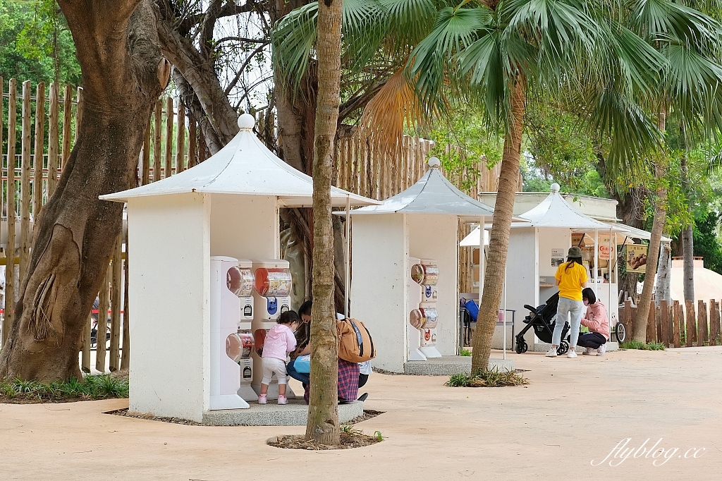 新竹東區｜新竹市立動物園．火車站步行15分鐘抵達，台灣現址最老的動物園 @飛天璇的口袋