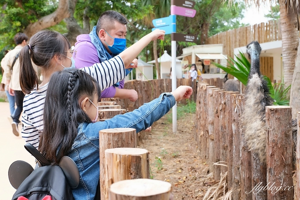 新竹東區｜新竹市立動物園．火車站步行15分鐘抵達，台灣現址最老的動物園 @飛天璇的口袋