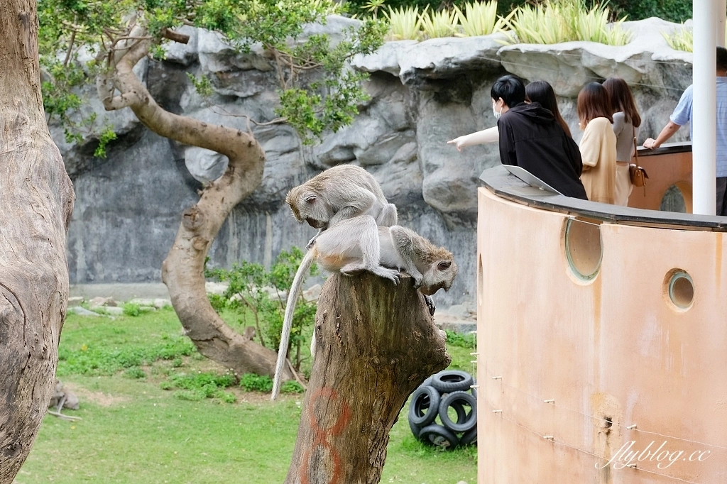 新竹東區｜新竹市立動物園．火車站步行15分鐘抵達，台灣現址最老的動物園 @飛天璇的口袋