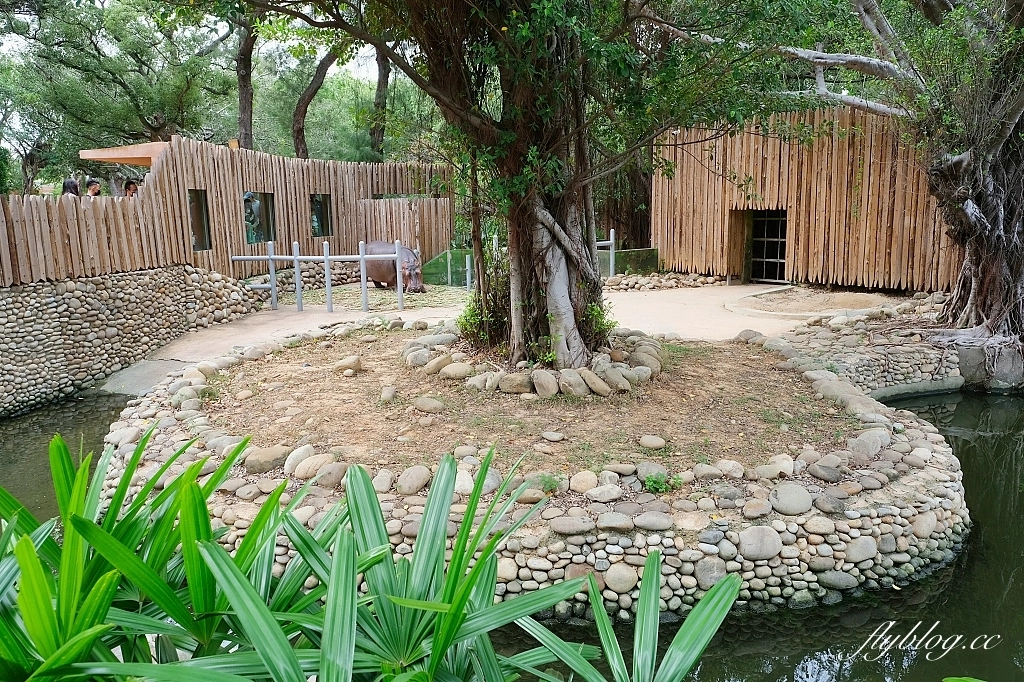 新竹東區｜新竹市立動物園．火車站步行15分鐘抵達，台灣現址最老的動物園 @飛天璇的口袋