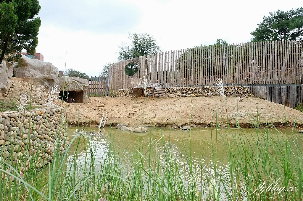 新竹東區｜新竹市立動物園．火車站步行15分鐘抵達，台灣現址最老的動物園 @飛天璇的口袋